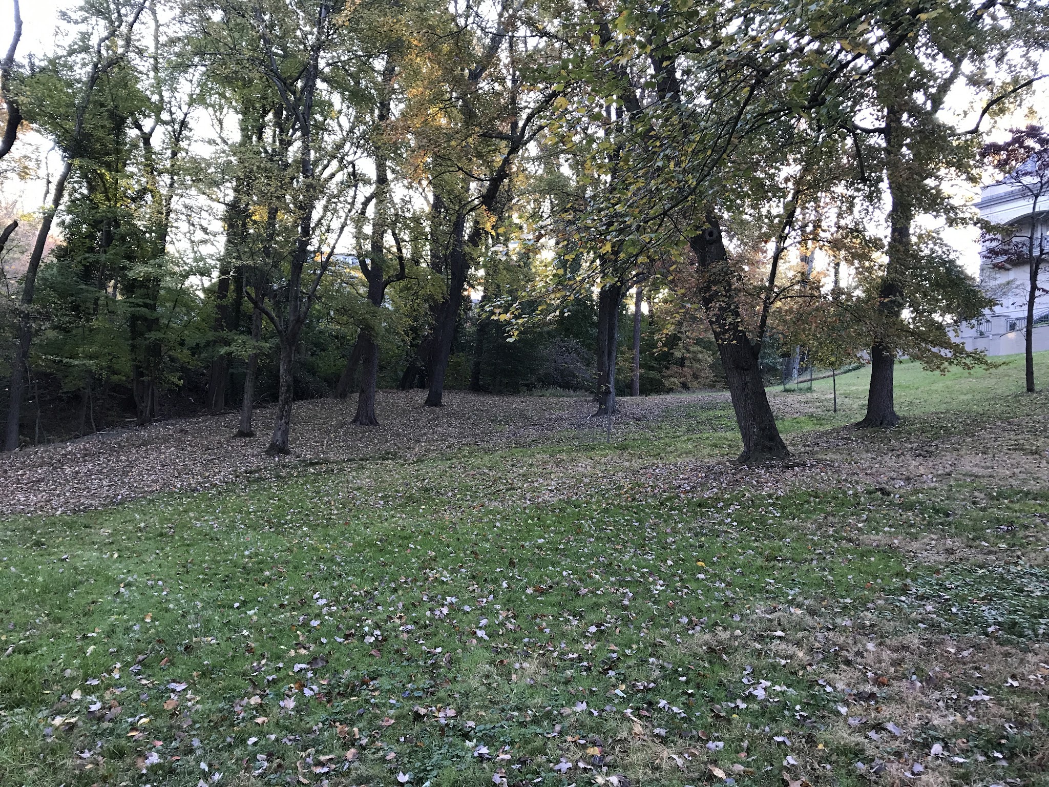 Linnean Park - Washington,