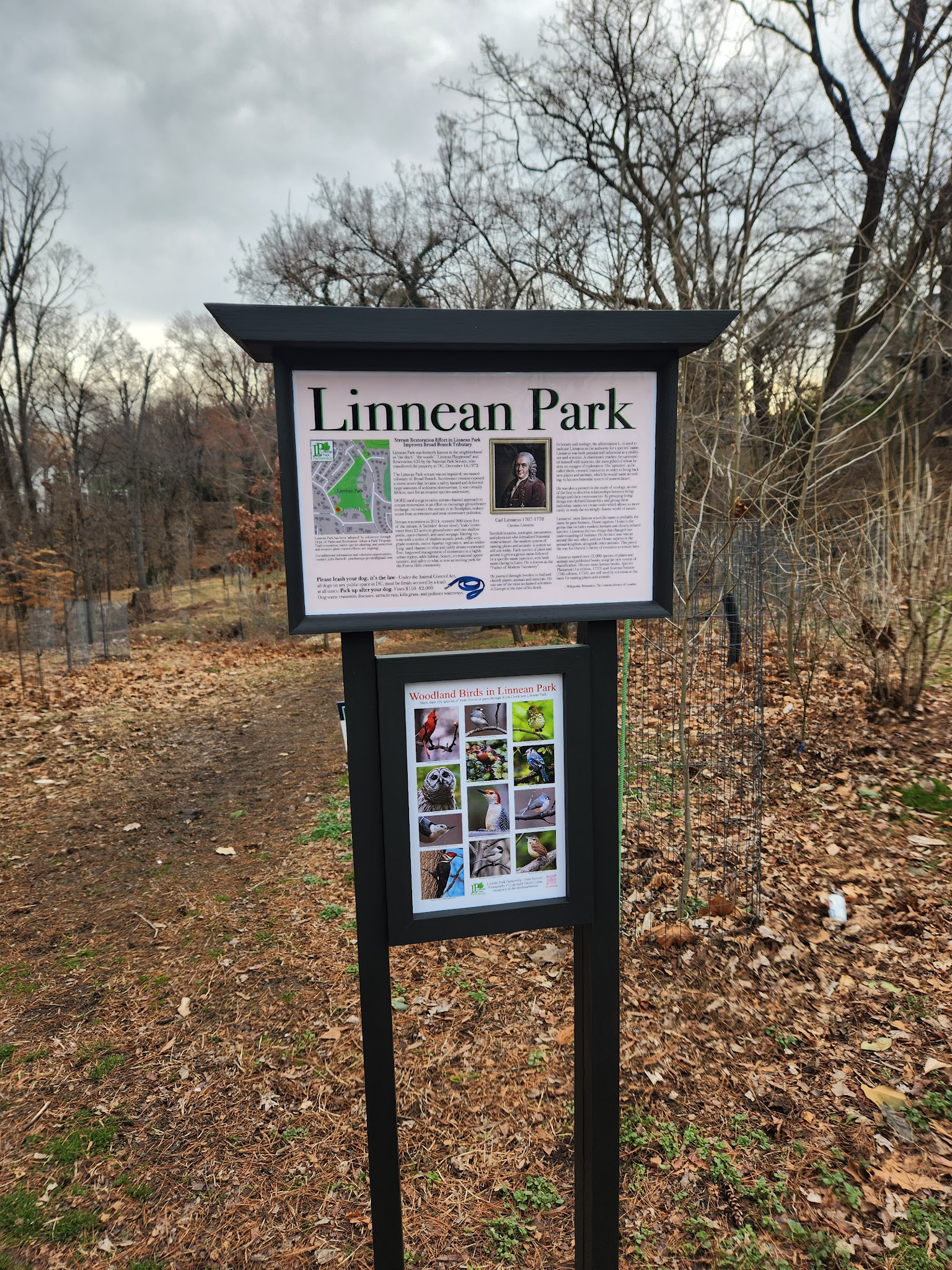 Linnean Park - Washington,