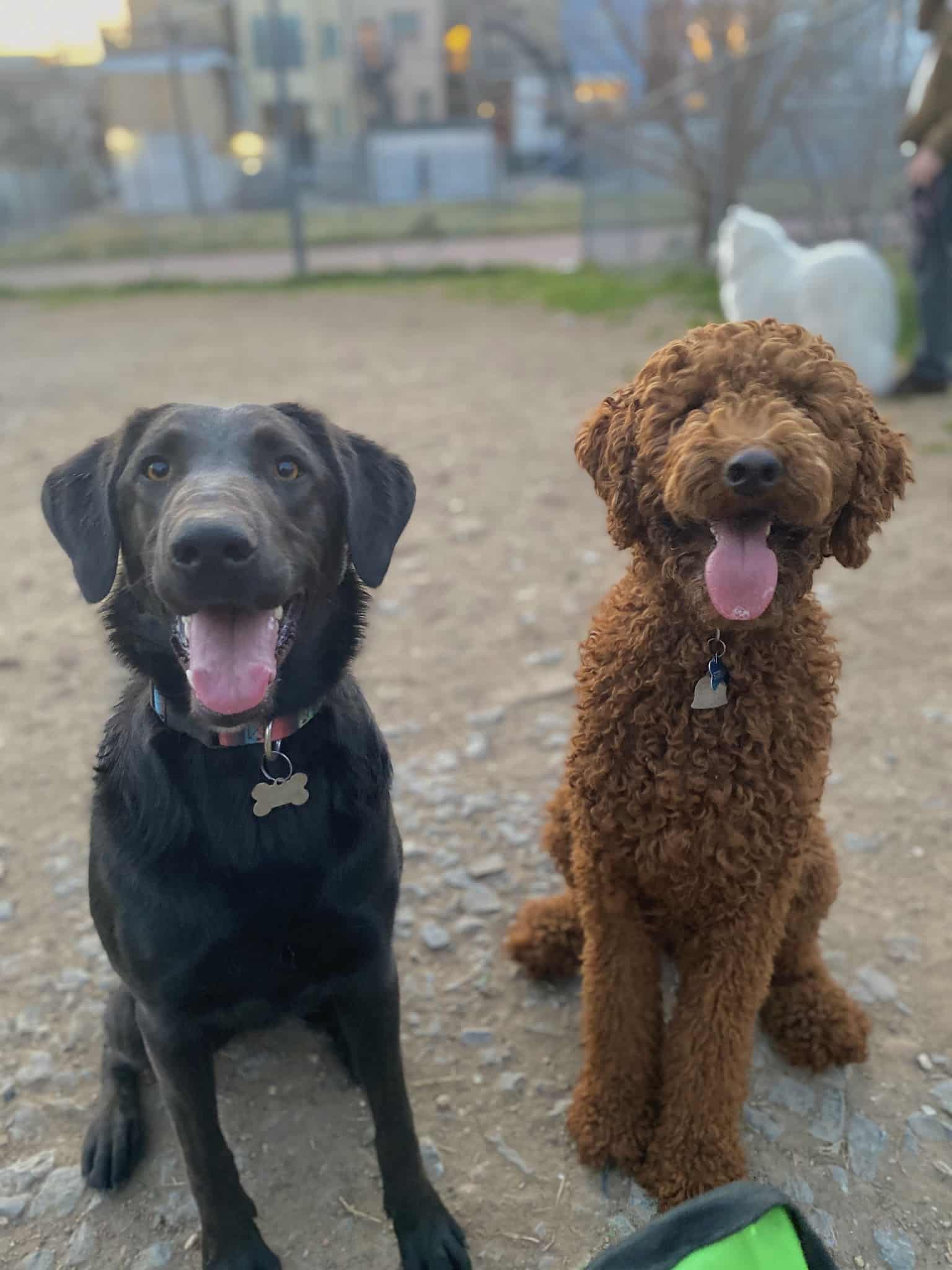 Stoey Park (The Lot) - Washington,