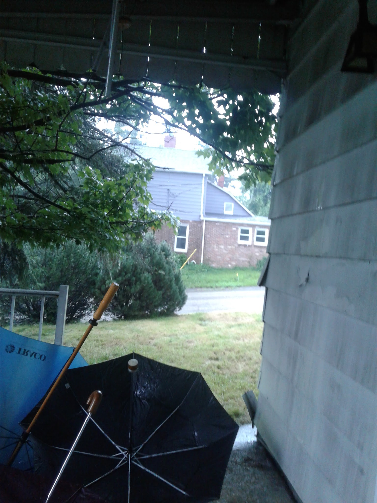 Driscoll Park - Washington, PA