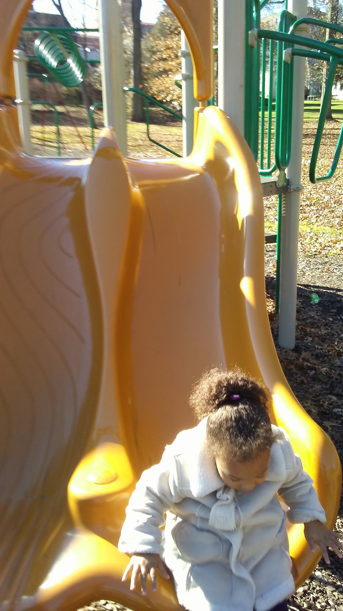 Driscoll Park - Washington, PA