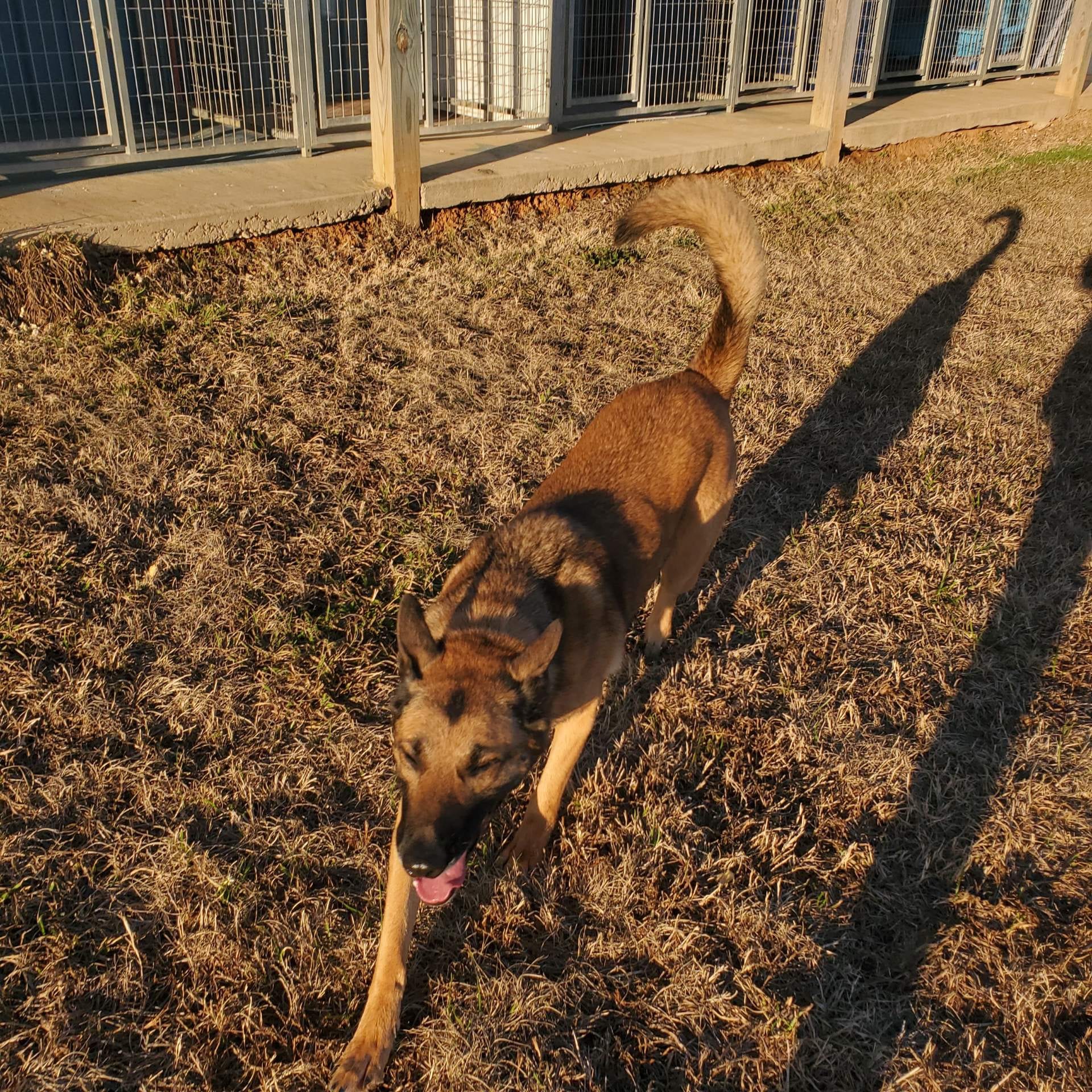 Candyman Pet Lodge - Waskom, TX