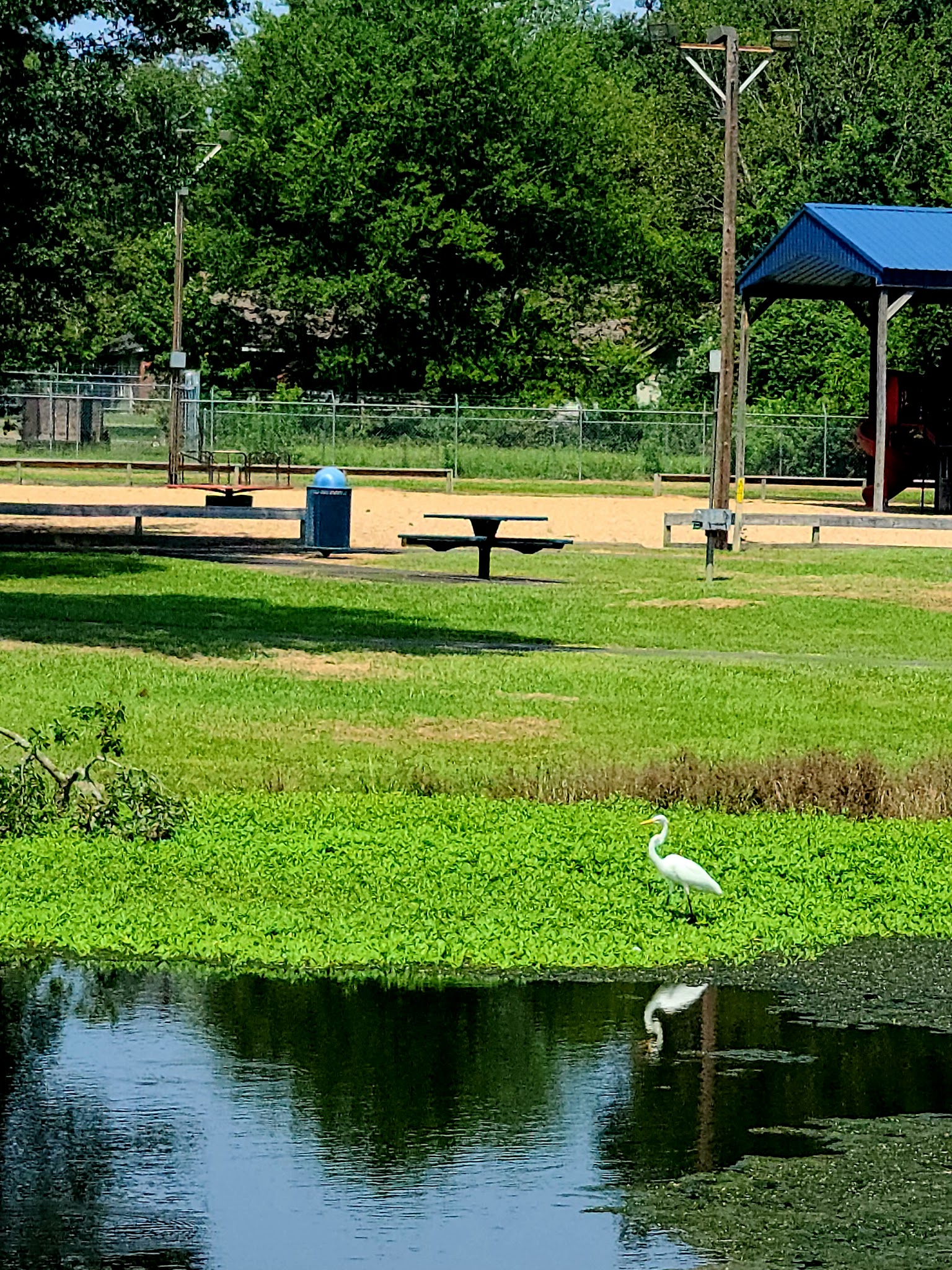 Waskom-Taylor Park - Waskom, TX