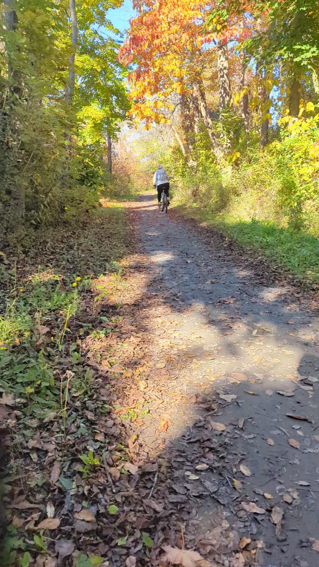 Cayuga-Seneca Canal Trail - Waterloo, NY