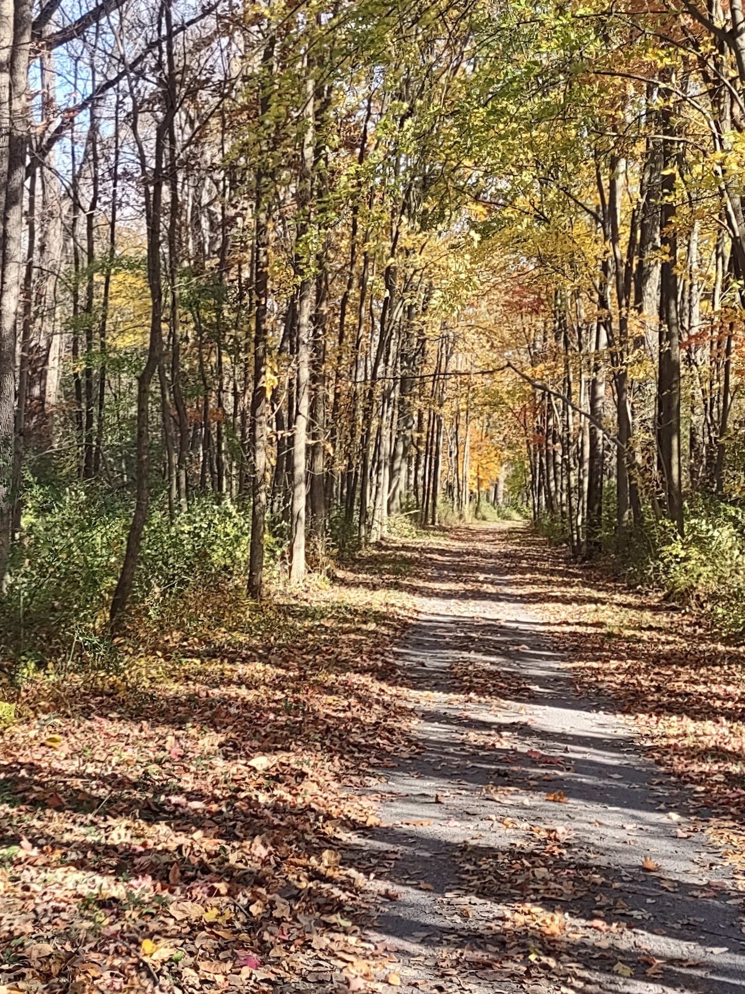 Cayuga-Seneca Canal Trail - Waterloo, NY