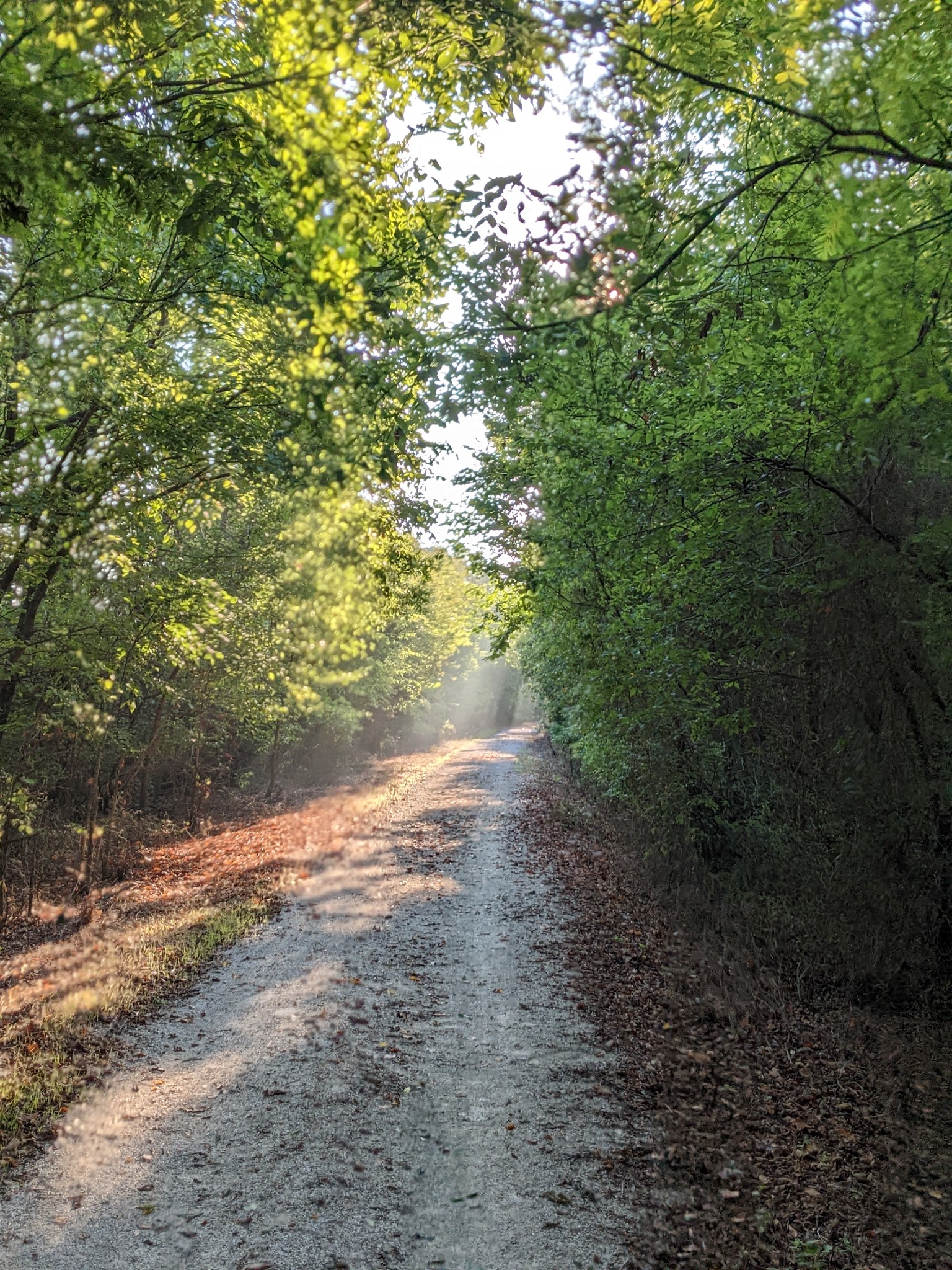Ruby Jack Trailhead - Webb City, MO