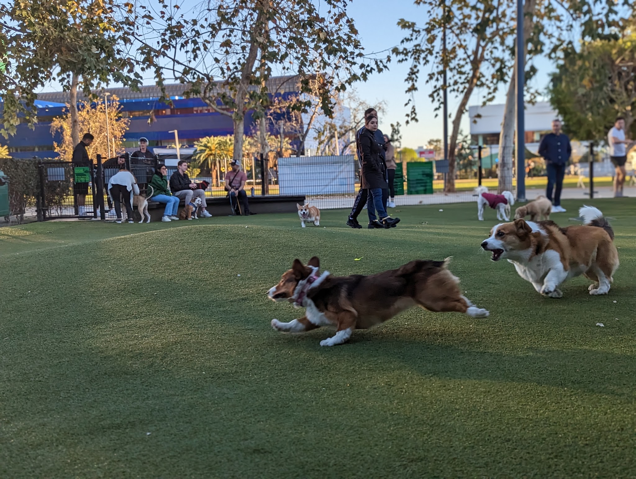 West Hollywood Small Dog Park - West Hollywood, CA