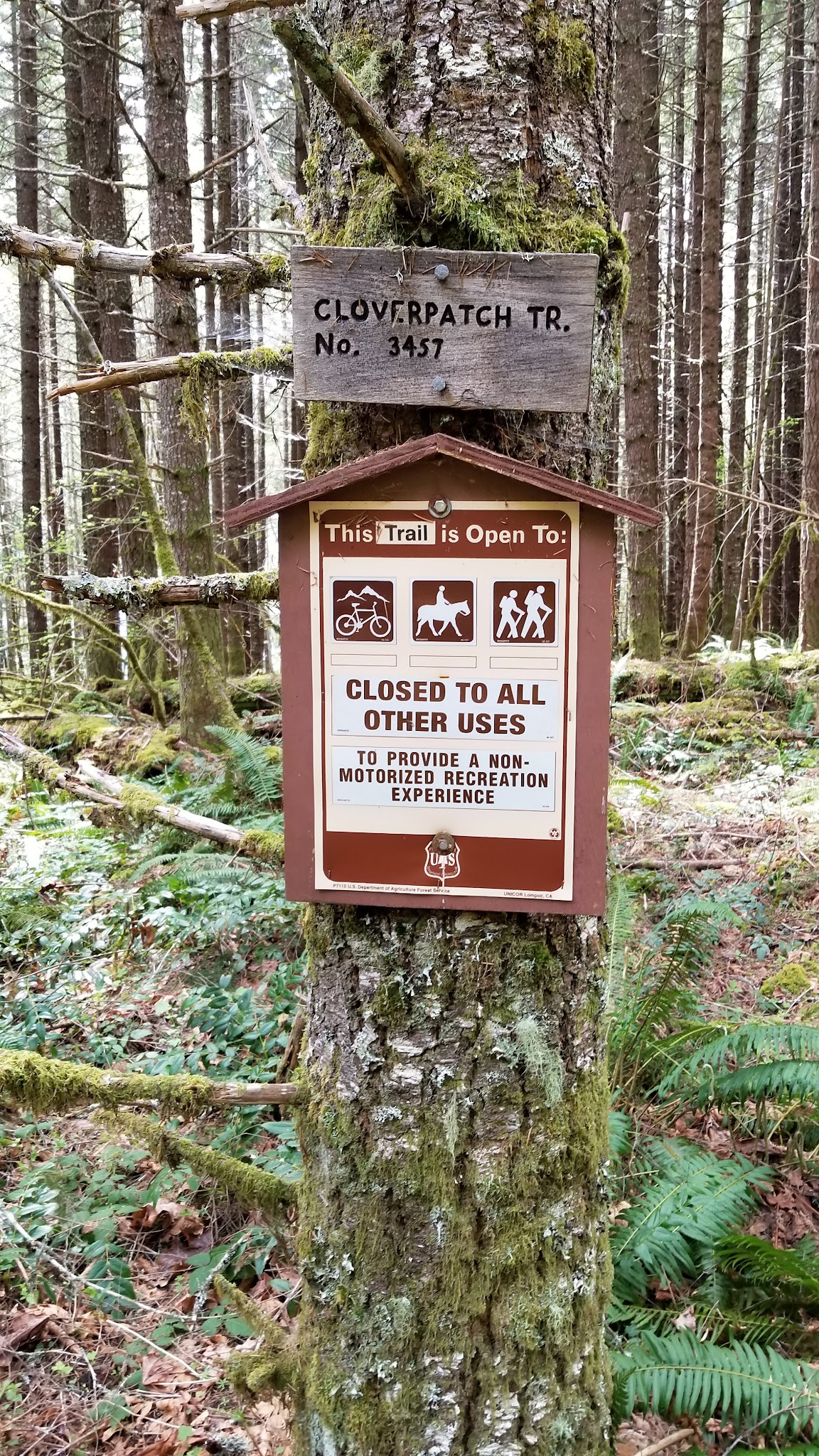 Cloverpatch Trailhead - Westfir, OR