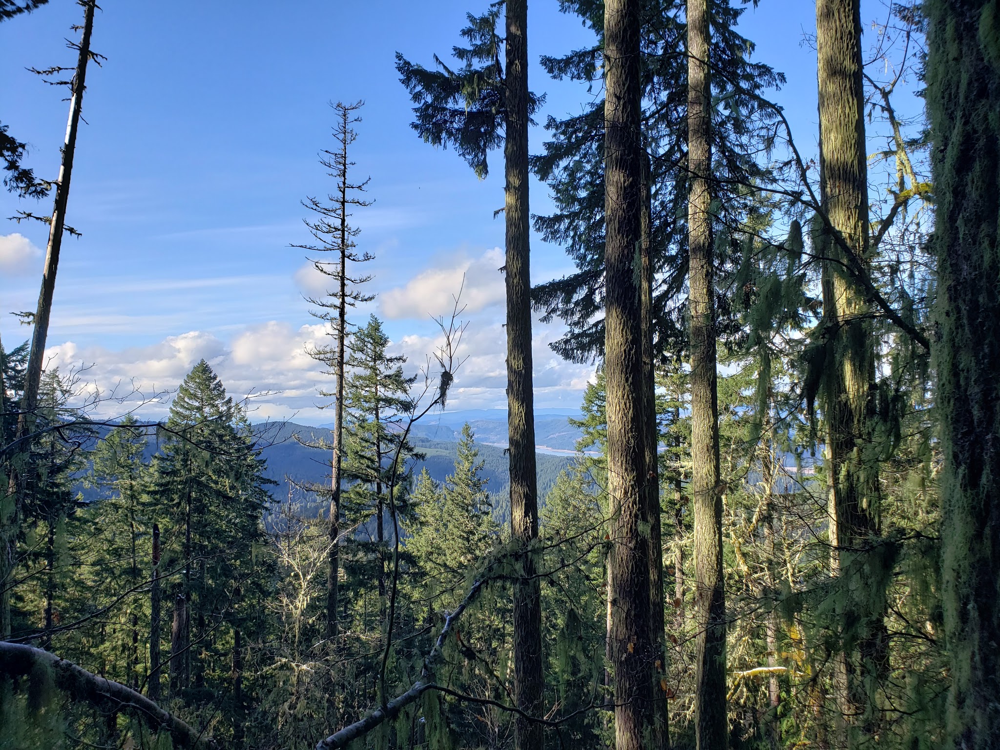 Hardesty Trailhead - Lower - Westfir, OR
