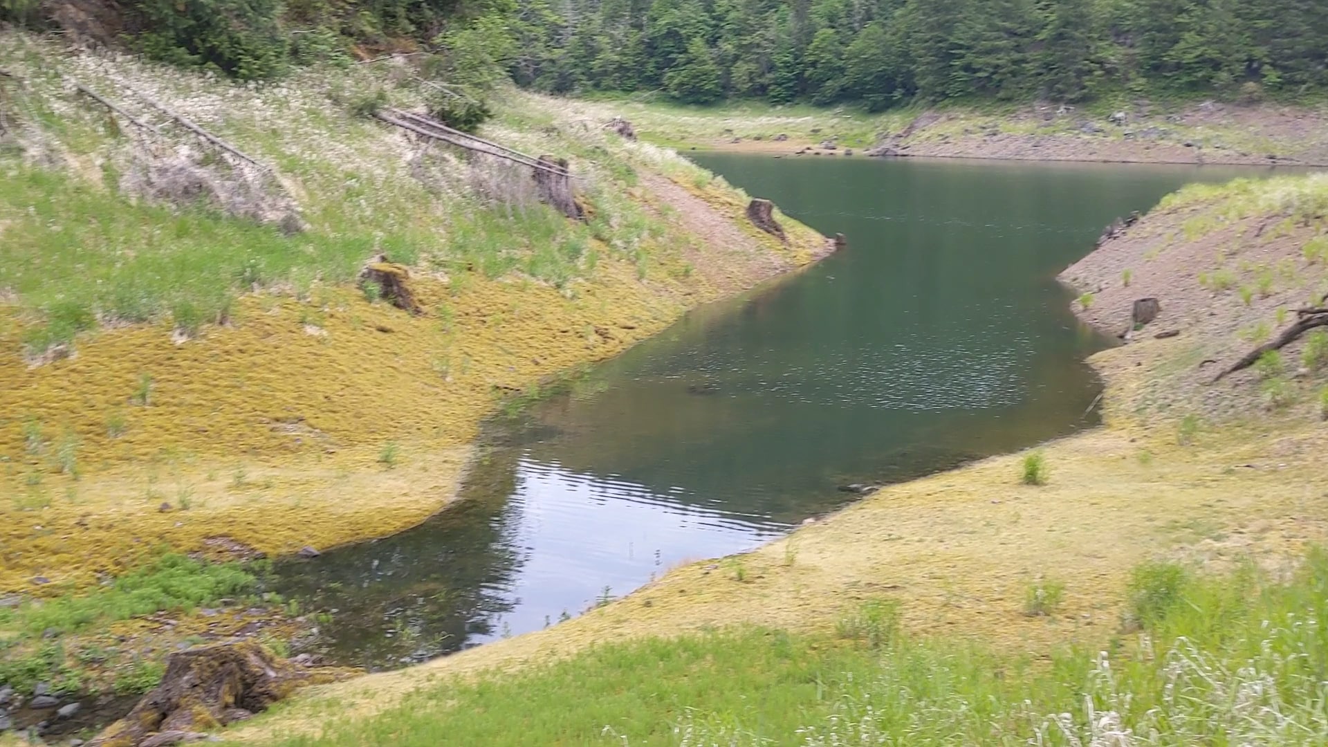 Hardesty Trailhead - Lower - Westfir, OR