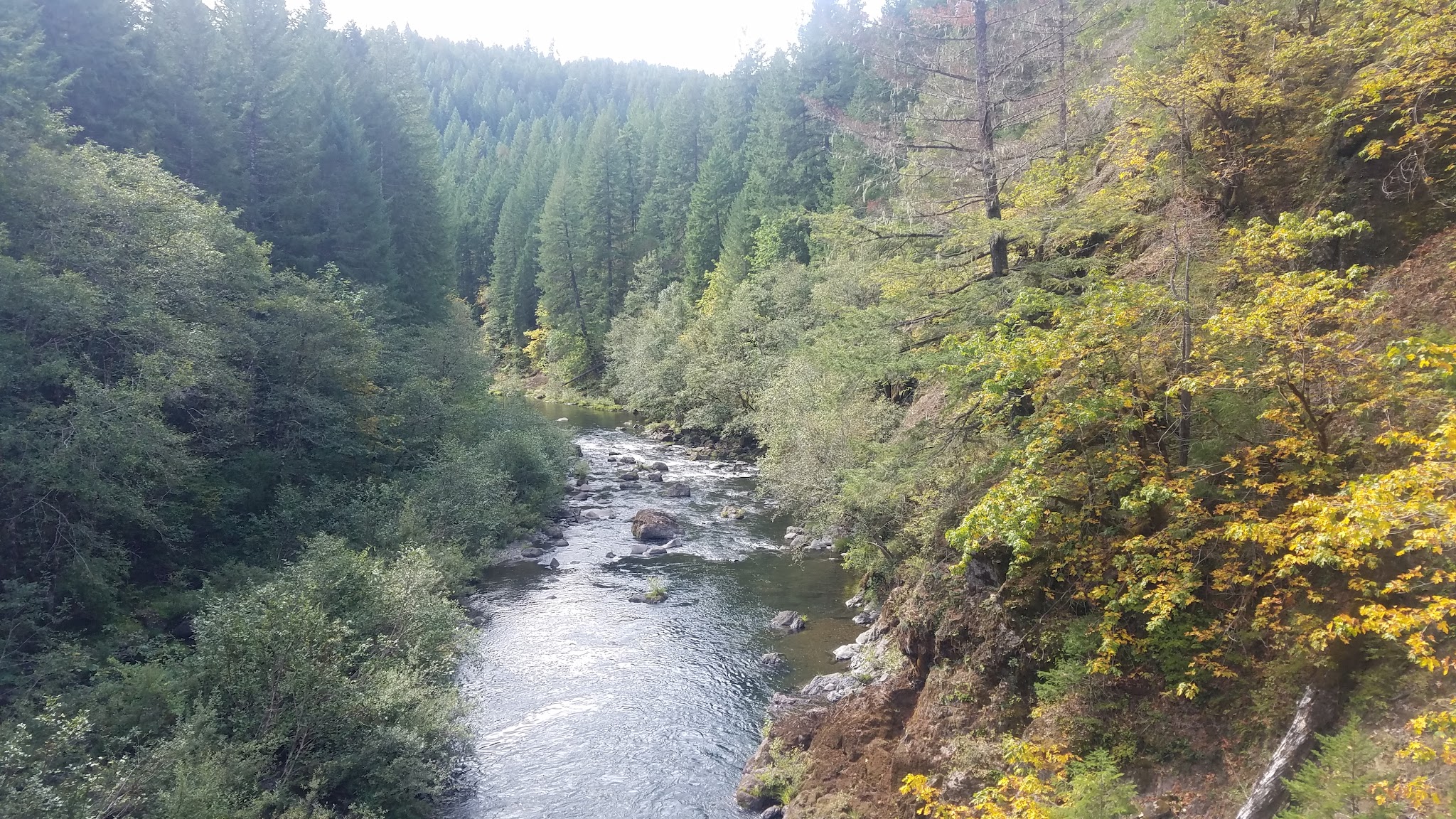 North Fork Trail Trailhead (Segment 1) - Westfir, OR