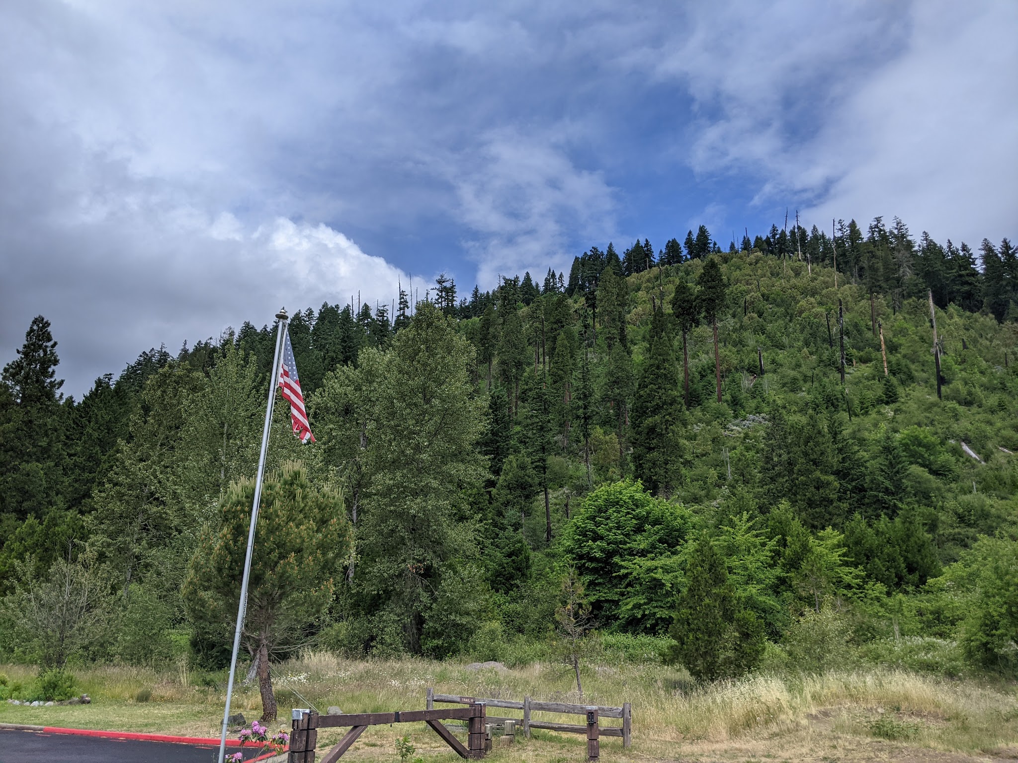 North Fork Trail Trailhead (Segment 1) - Westfir, OR