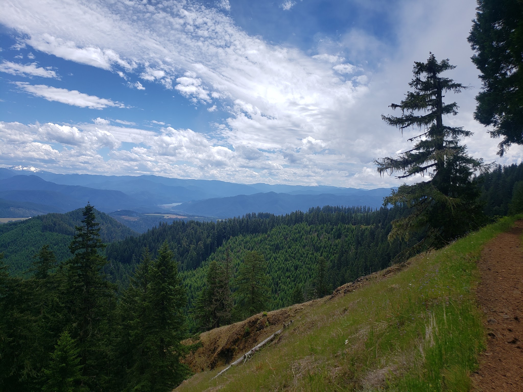 Tire Mountain Trailhead - Westfir, OR