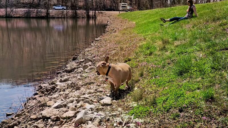 Painted Rock Conservation Area - Westphalia, MO