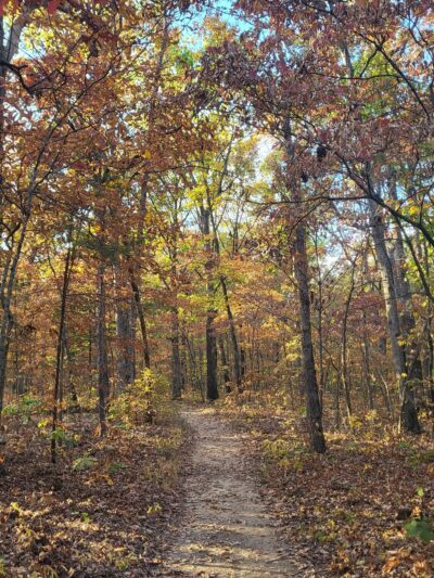 Painted Rock Conservation Area - Westphalia, MO