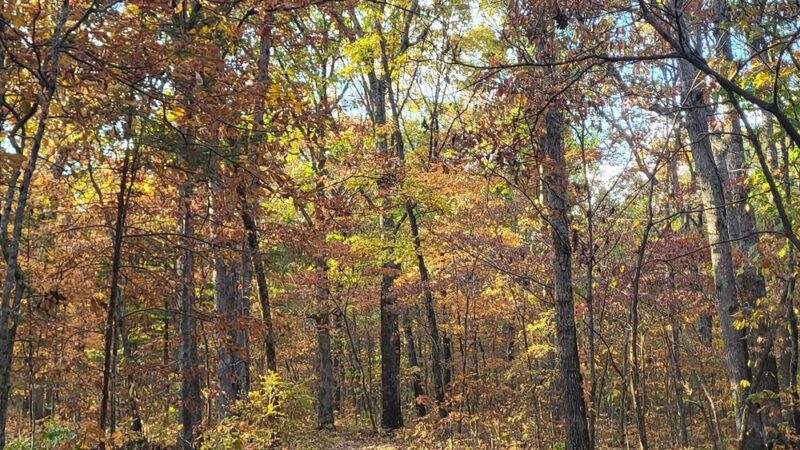 Painted Rock Conservation Area - Westphalia, MO