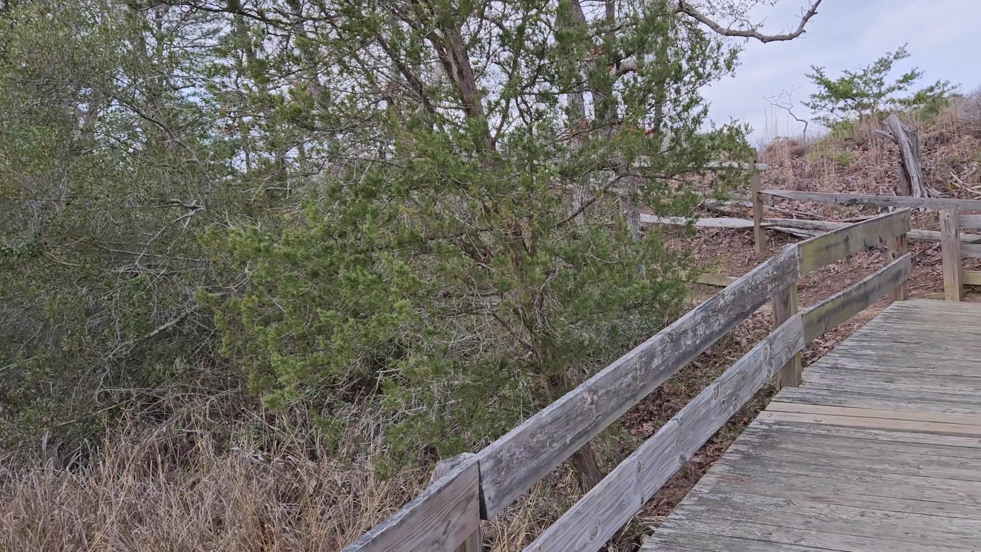 York River State Park - Williamsburg, VA