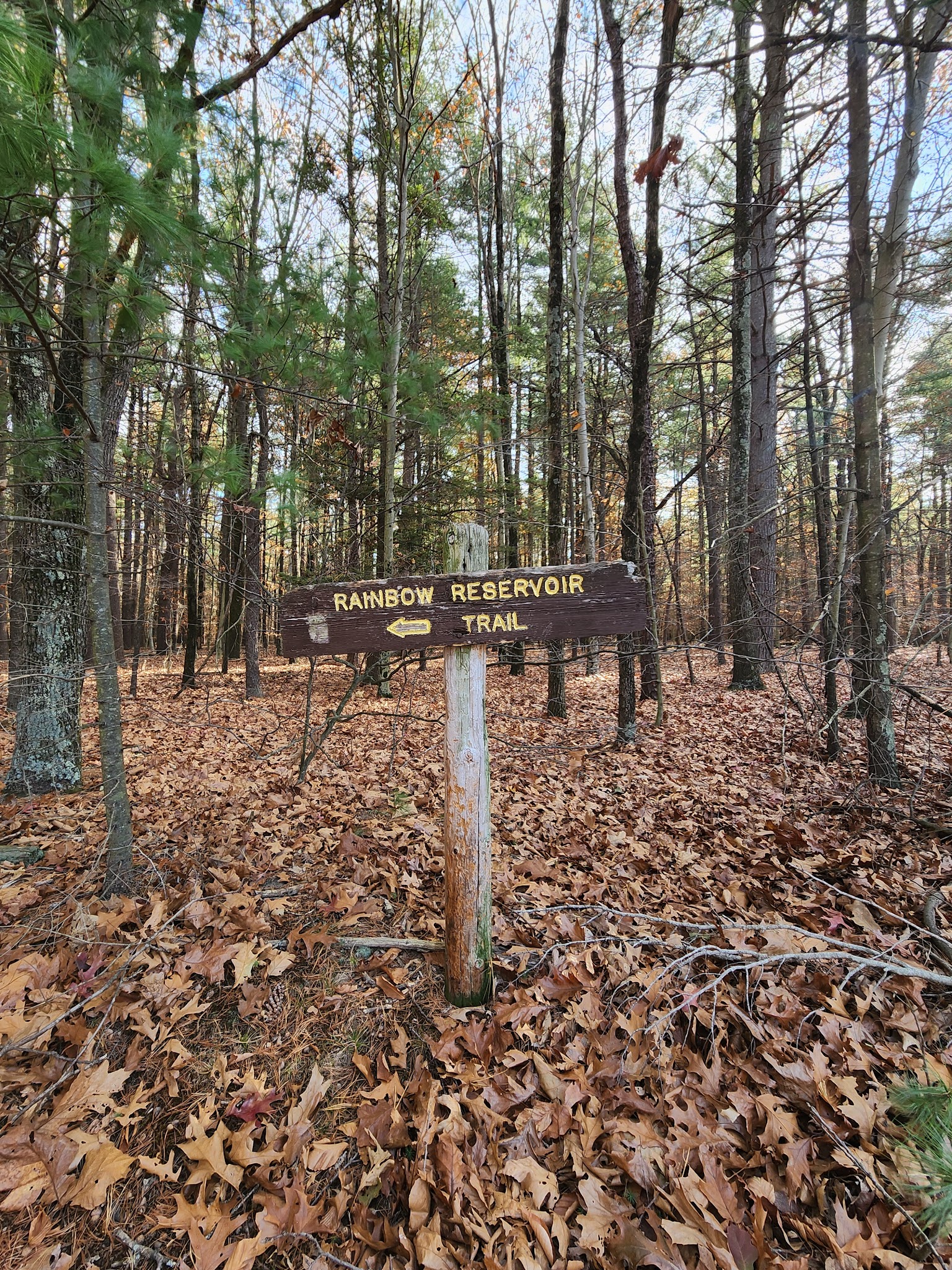 Northwest Park - Windsor, CT