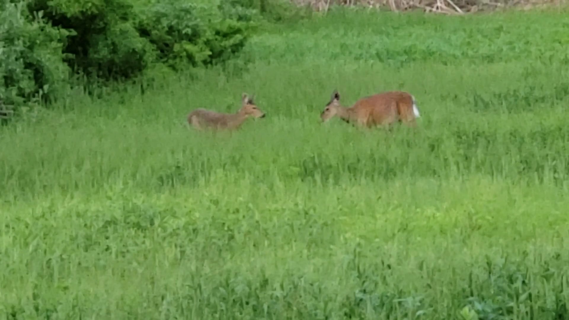 Northwest Park - Windsor, CT