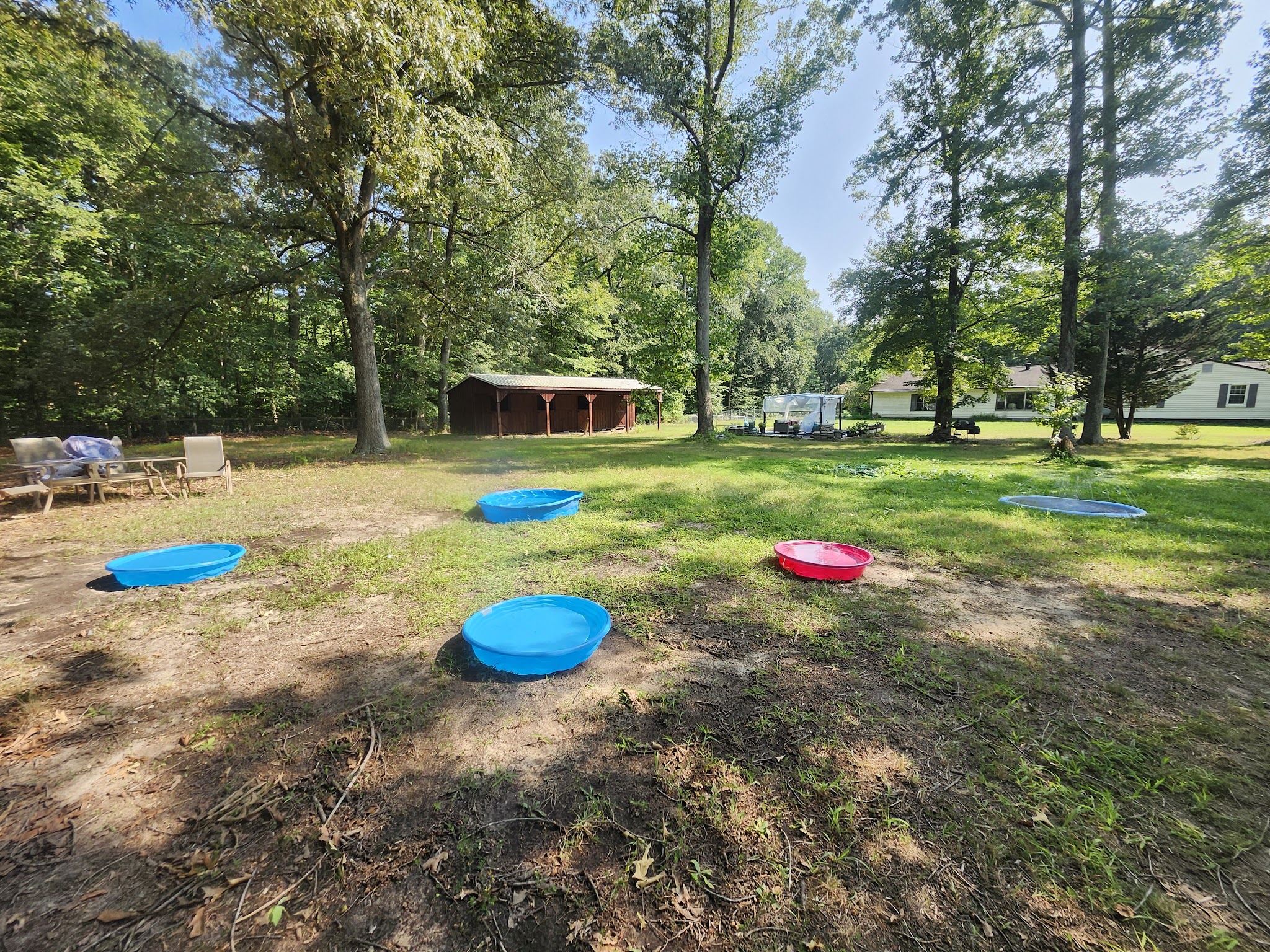 Felicia's Farmette -Dog Park - Woodbridge, VA