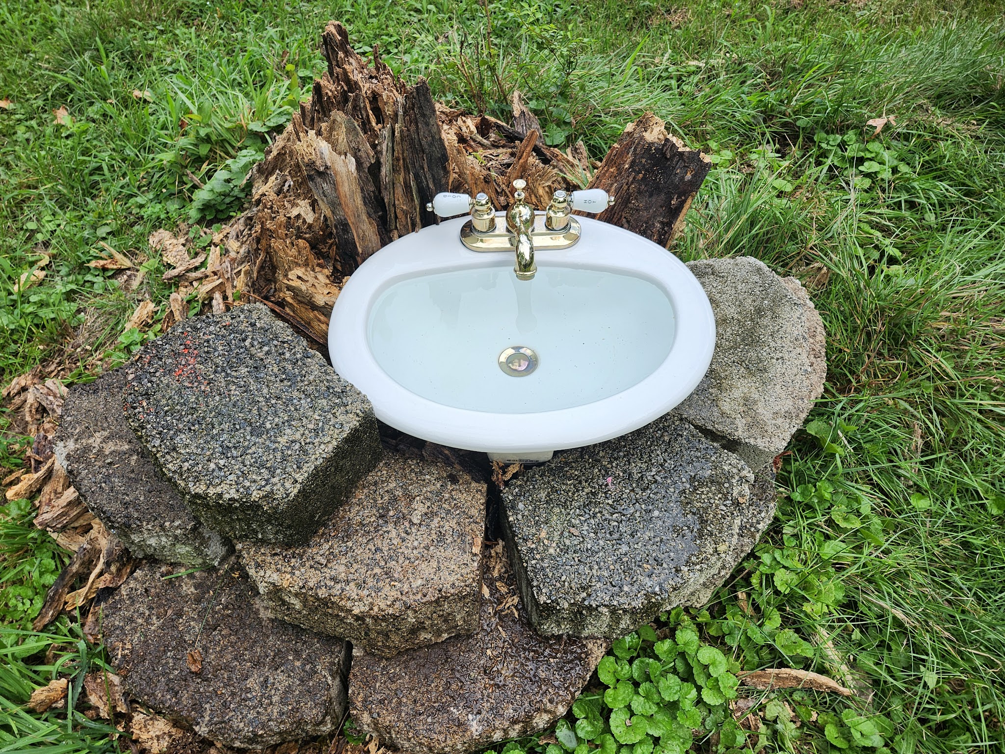 Felicia's Farmette -Dog Park - Woodbridge, VA