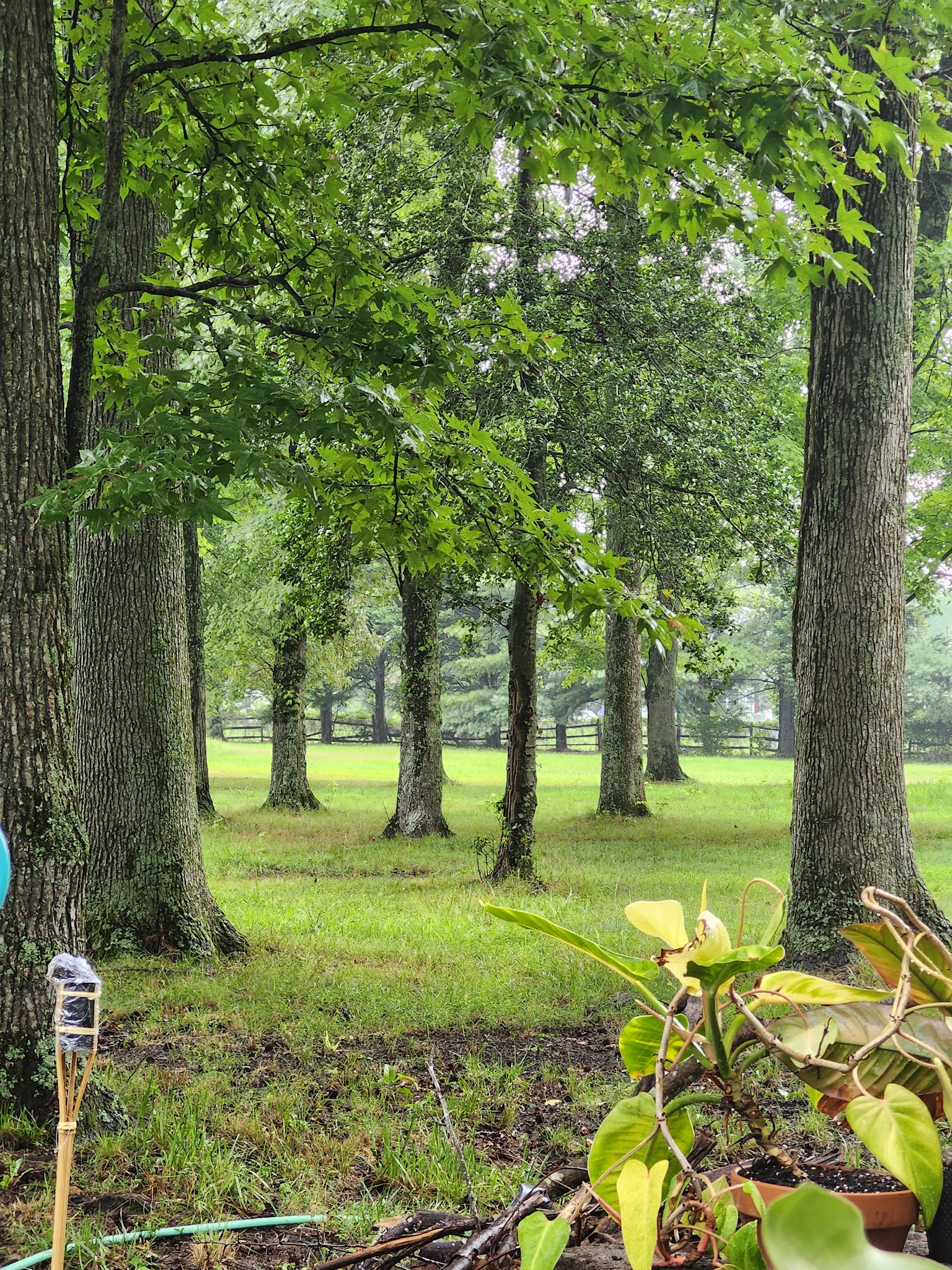 Felicia's Farmette -Dog Park - Woodbridge, VA