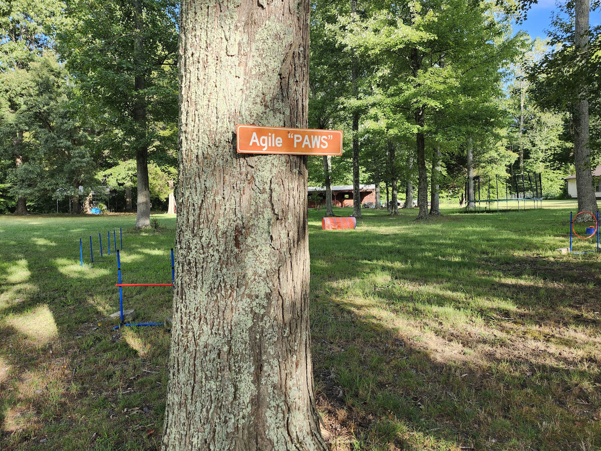 Felicia's Farmette -Dog Park - Woodbridge, VA