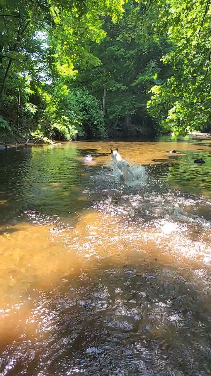 Three Rivers Field - Woodbury, CT