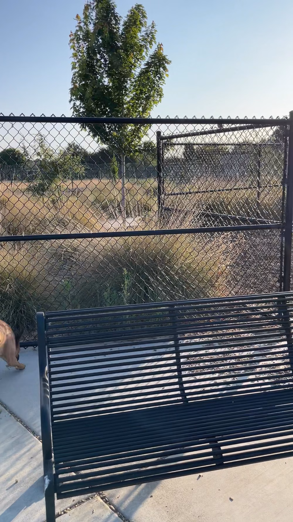 Jack Slaven Dog Park - Woodland, CA