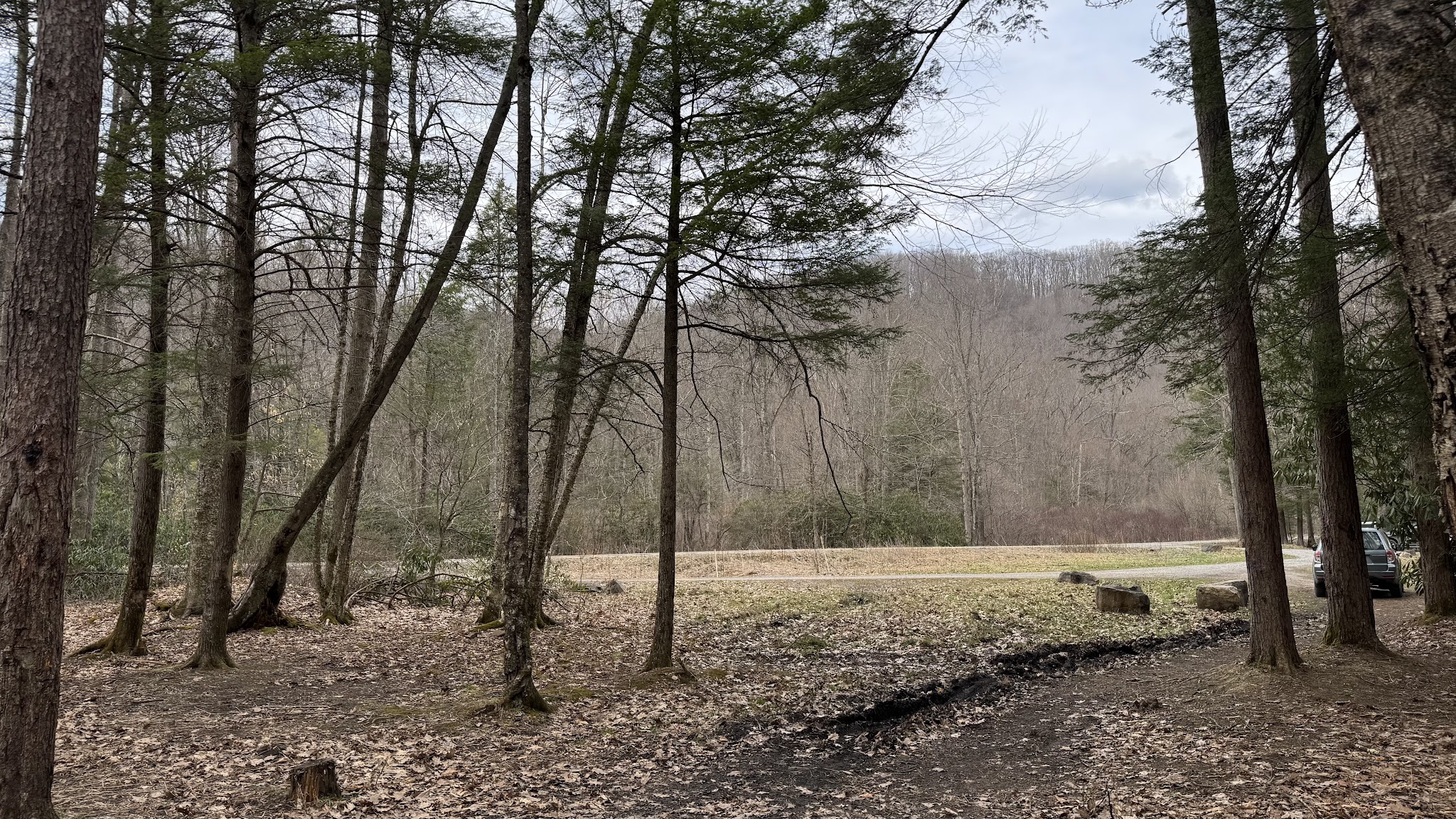 Lower Glady Dispersed Campground - Wymer, WV