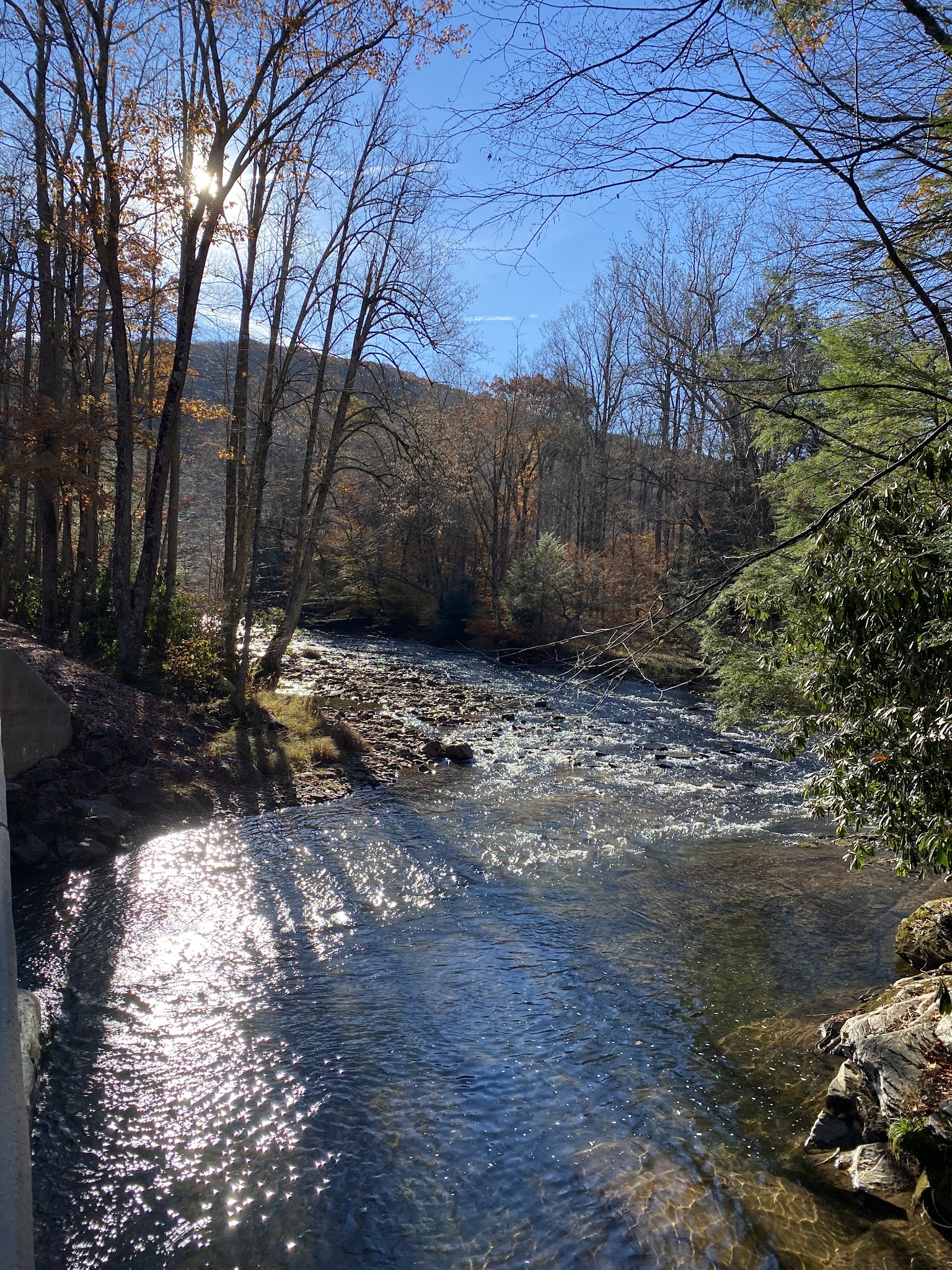 Lower Glady Dispersed Campground - Wymer, WV