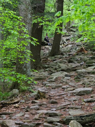 Sprain Ridge Park - Yonkers, NY