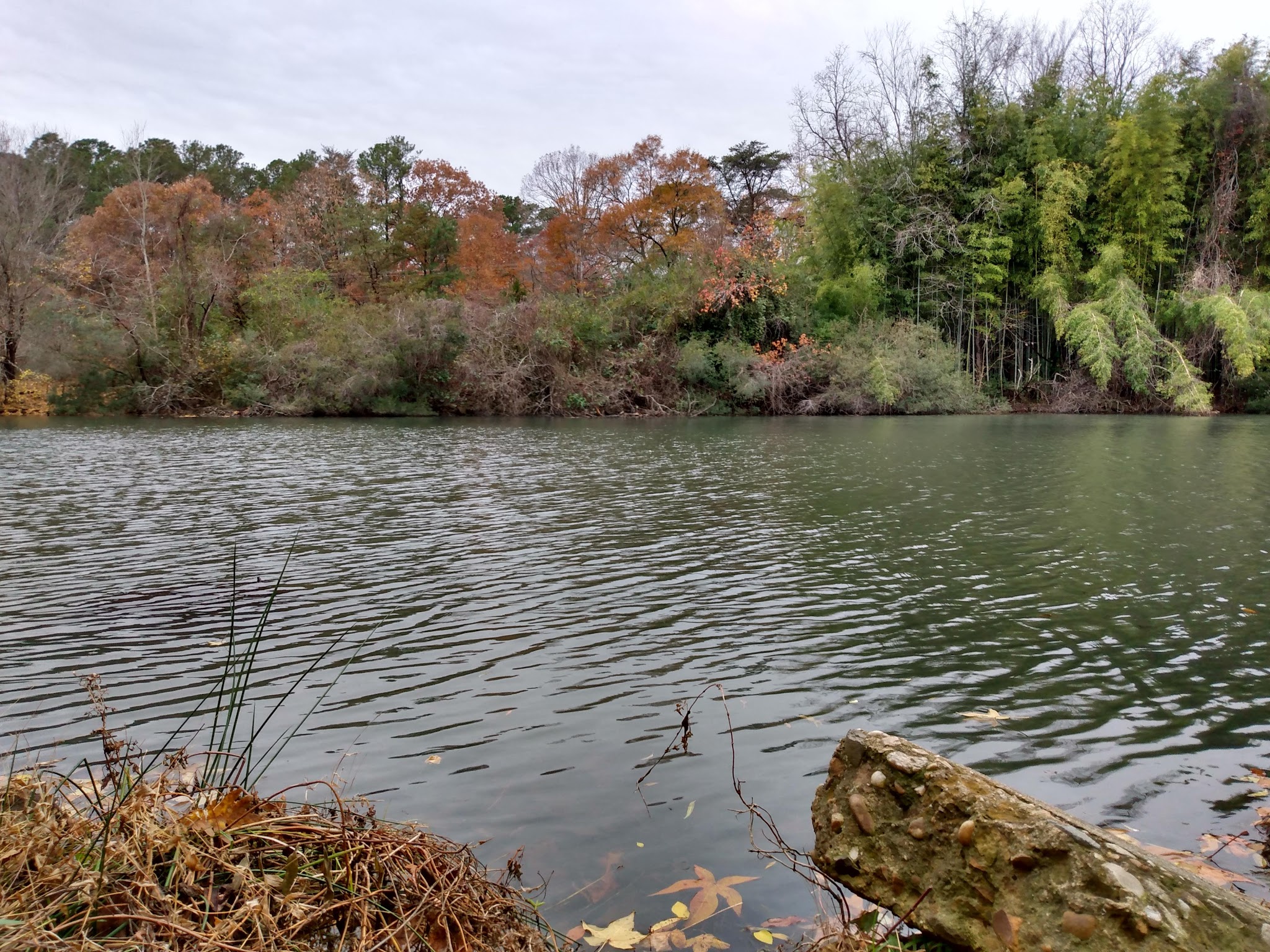 Wolf Trap Park - Yorktown, VA