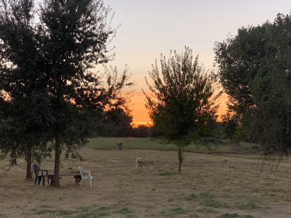 Off the Leash Dog Park - Yuba City, CA