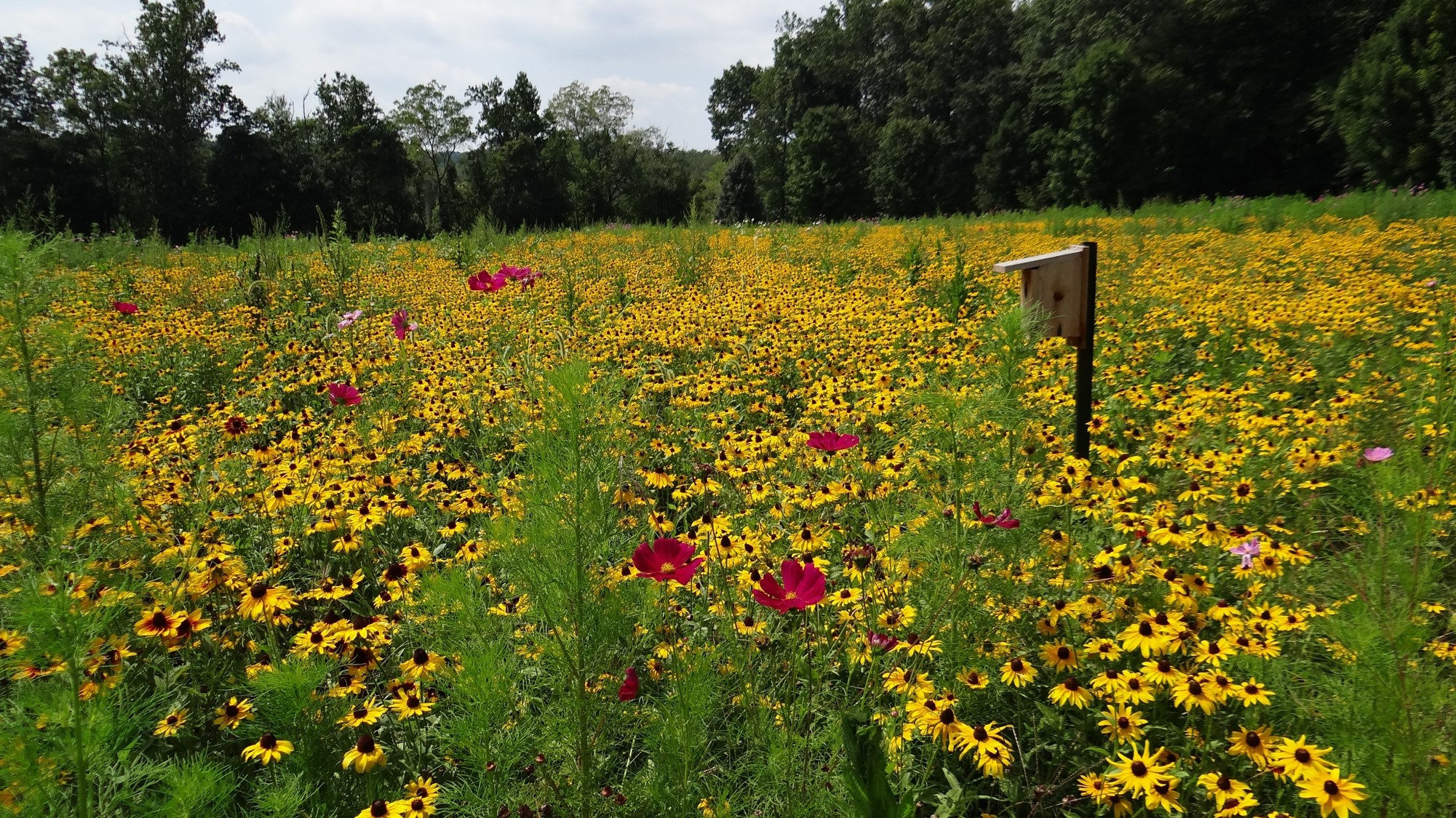 Churchview Park - Zionsville, PA