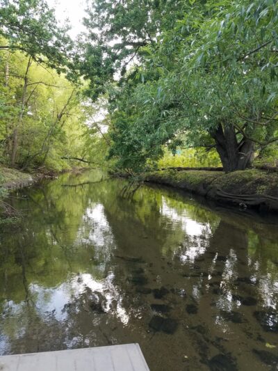 Shoelace Park - Bronx, NY