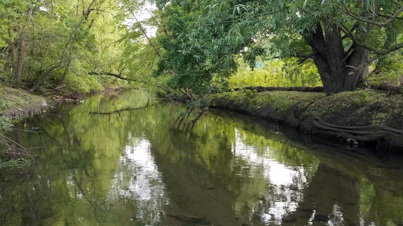 Shoelace Park - Bronx, NY