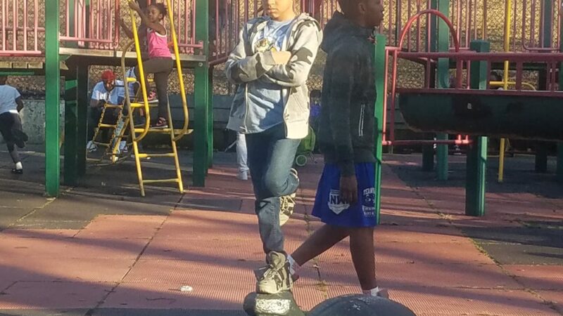 Shoelace Park - Bronx, NY