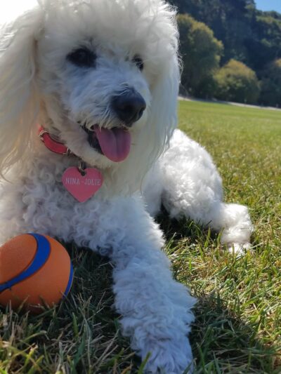 South Bank Trail - Carmel, CA