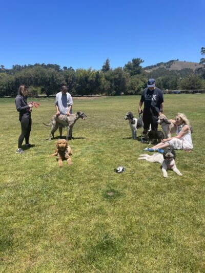 South Bank Trail - Carmel, CA