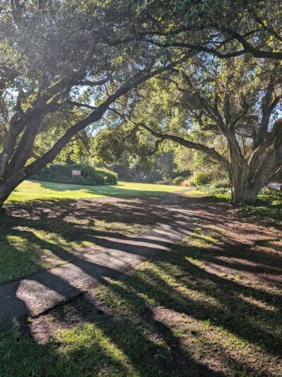 Carmel Valley Community Park - Carmel Valley, CA