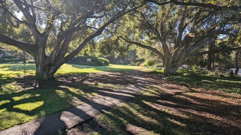 Carmel Valley Community Park - Carmel Valley, CA