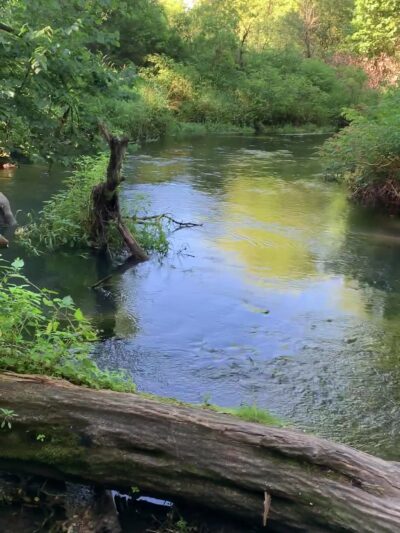 Pop's Knoll - Mt Horeb, WI