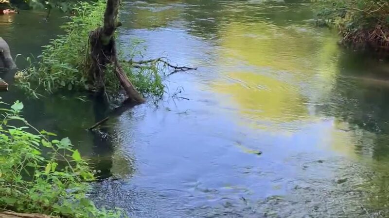 Pop's Knoll - Mt Horeb, WI