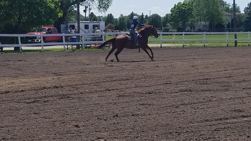 4H Fields - New Lenox, IL