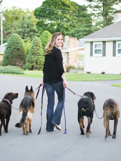 The Incredible K9 - Pleasant Gap, PA