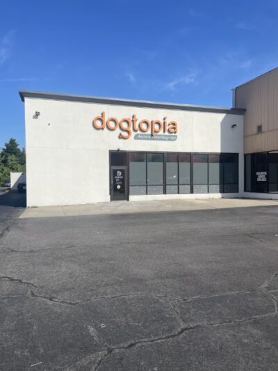 Dogtopia of Port Chester - Port Chester, NY
