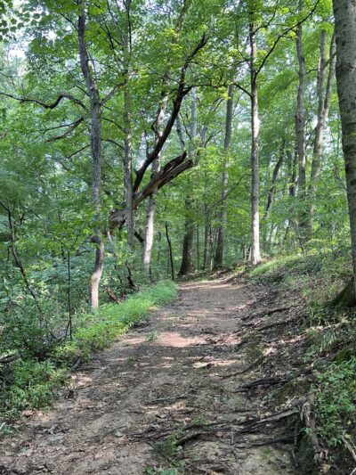 Linbrook Park - Sewickley, PA