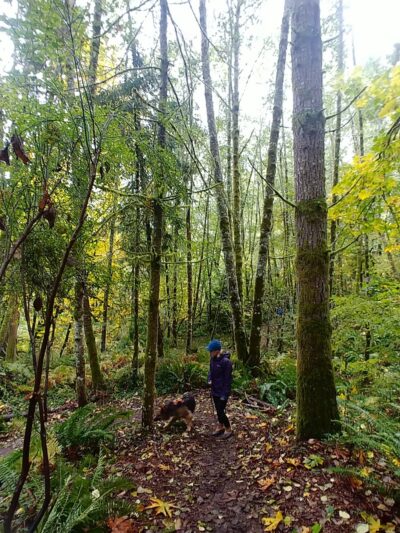 Judd Creek Preserve - Vashon, WA